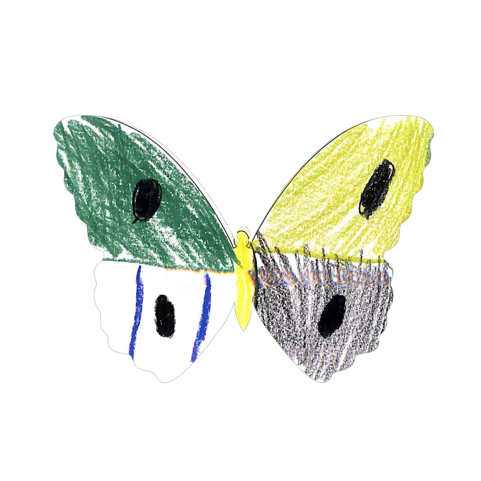Original Butterfly Image