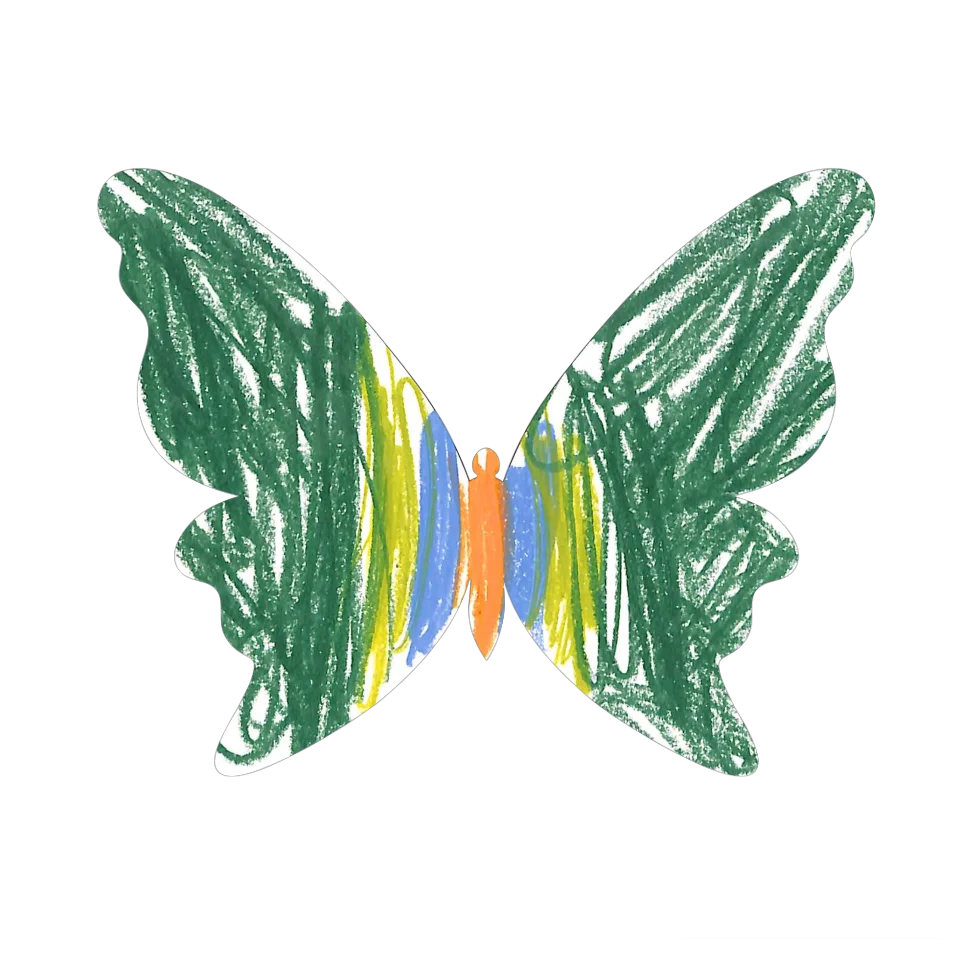Original Butterfly Image