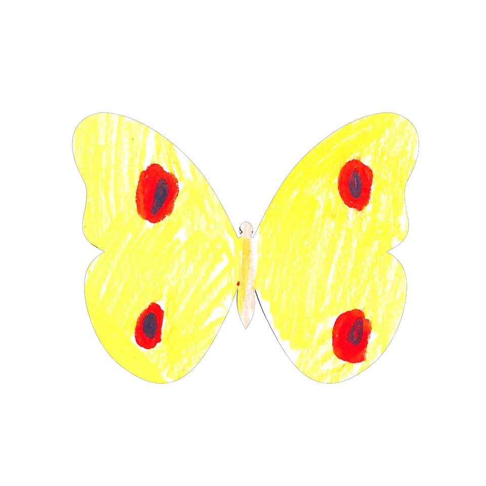 Original Butterfly Image