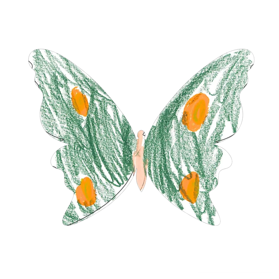 Original Butterfly Image