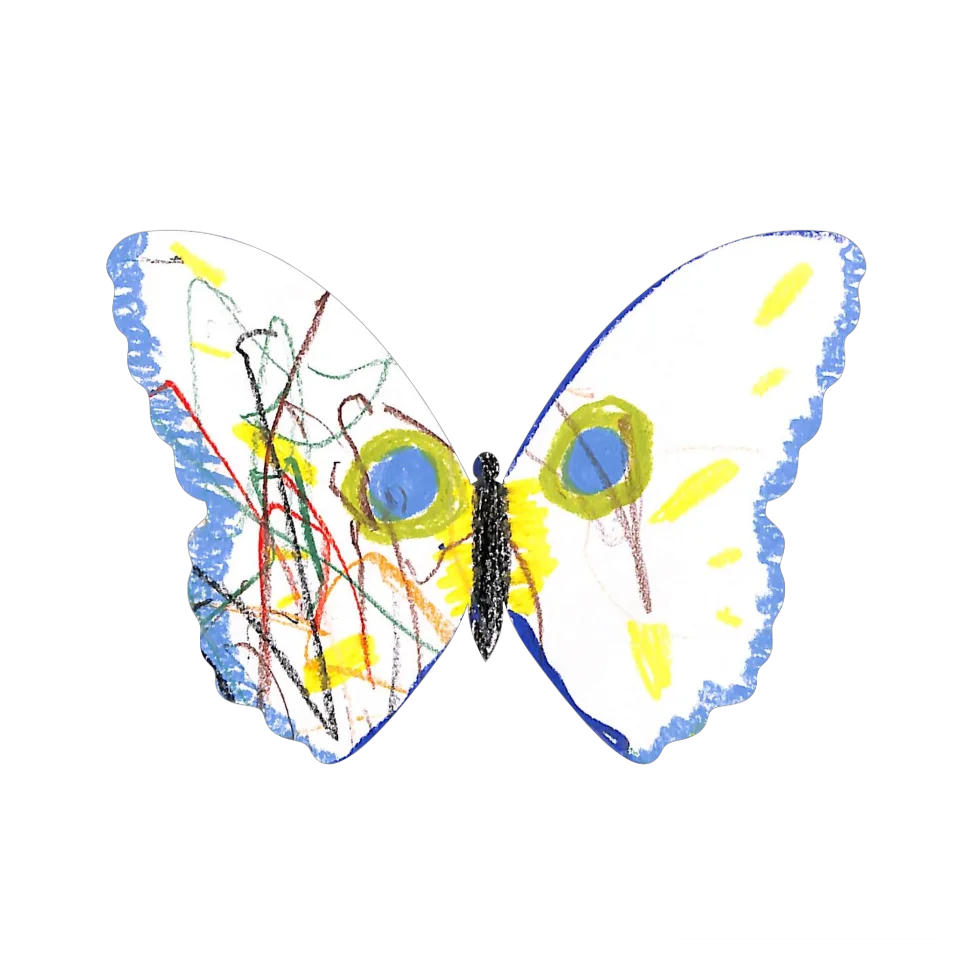 Original Butterfly Image