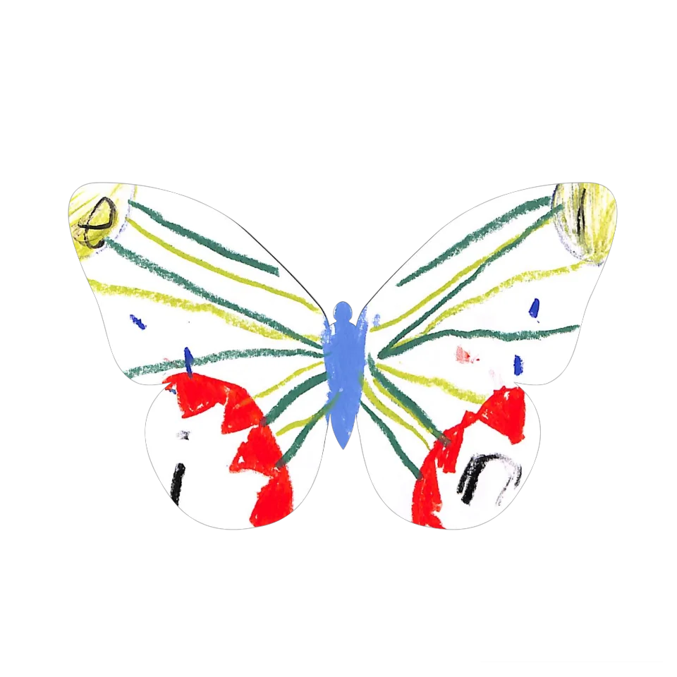 Original Butterfly Image