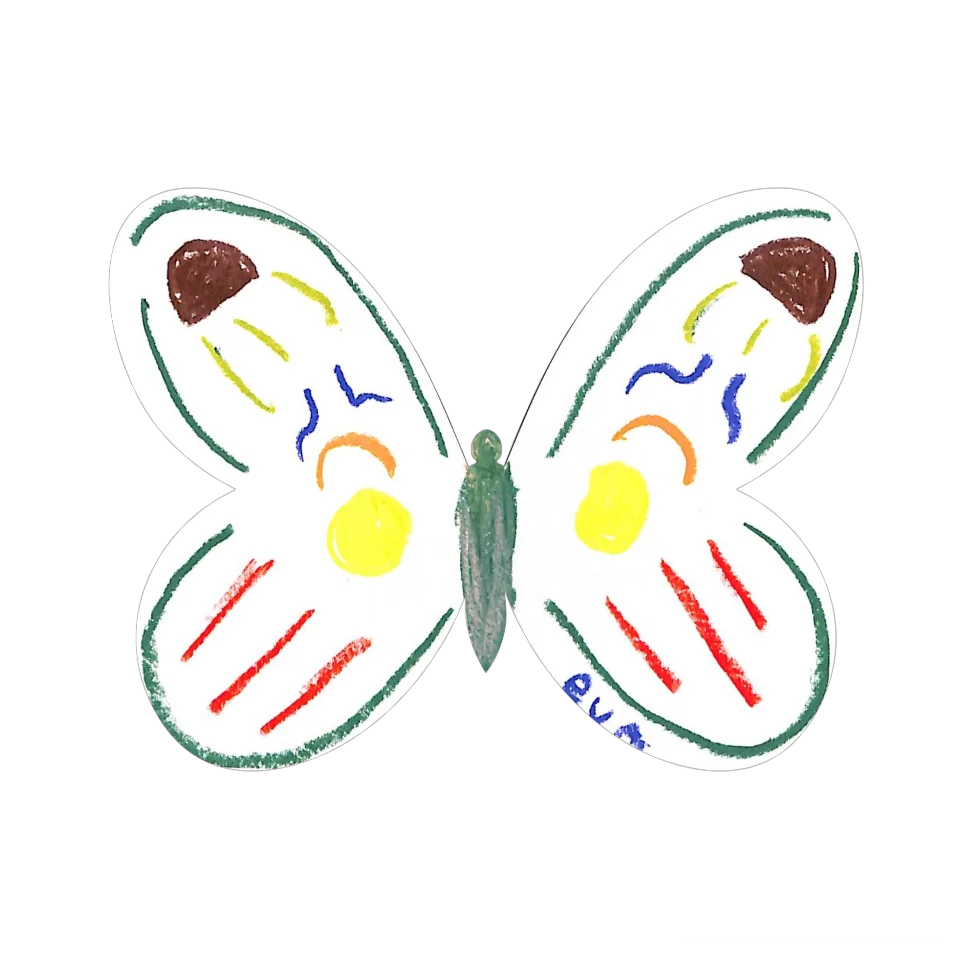 Original Butterfly Image