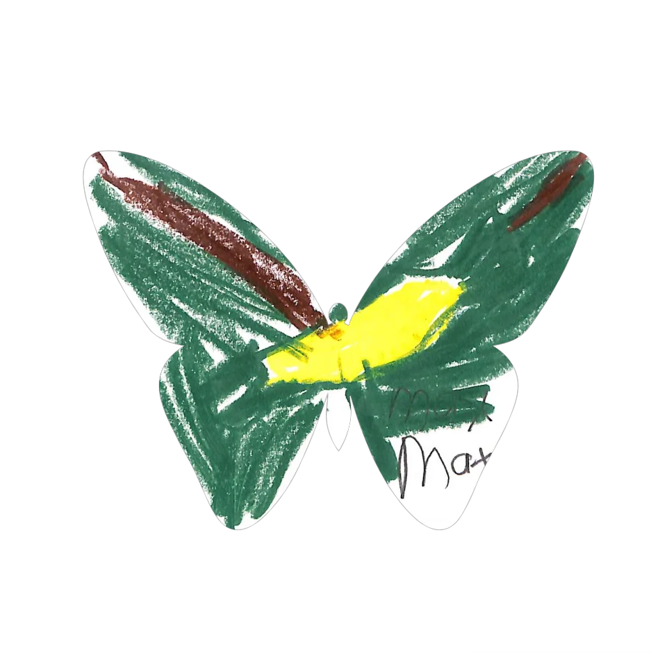 Original Butterfly Image