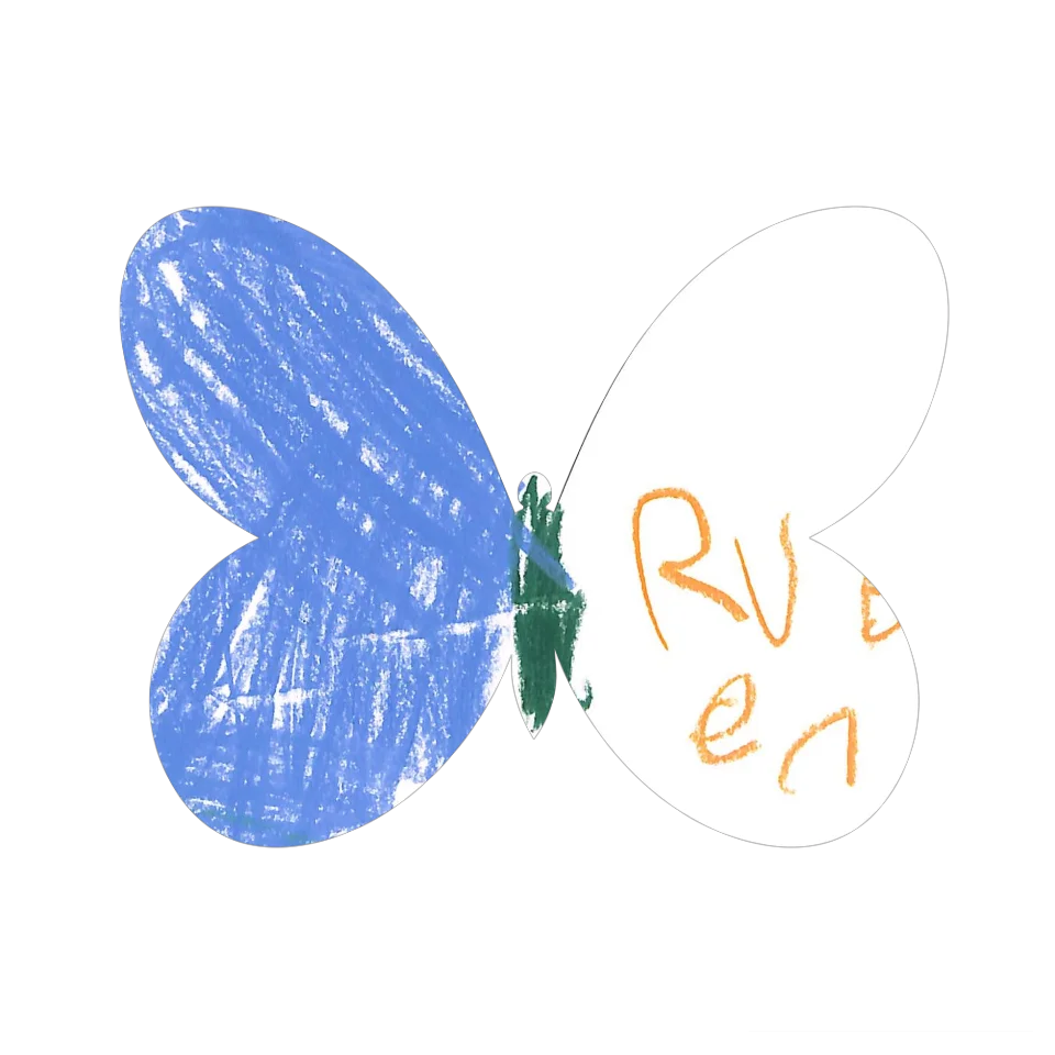 Original Butterfly Image