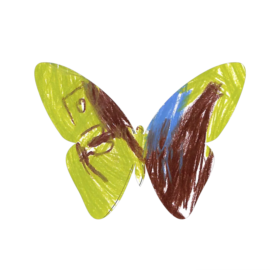 Original Butterfly Image