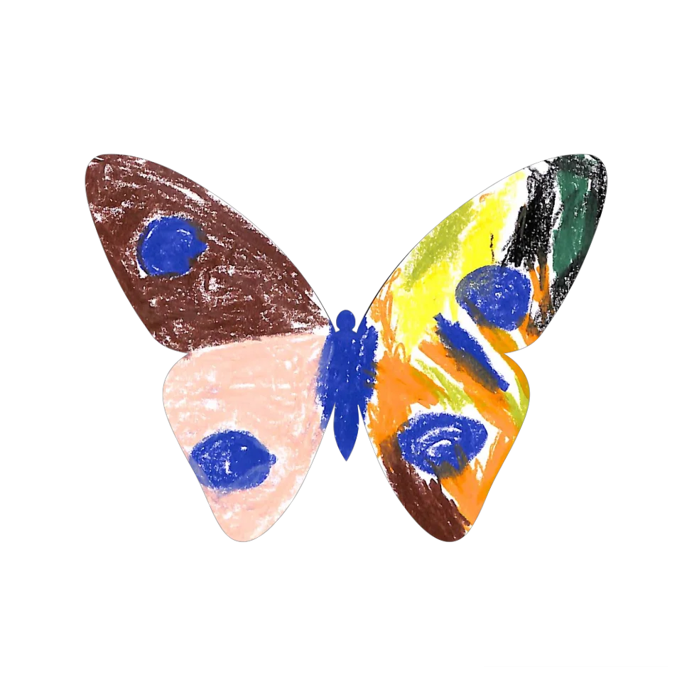 Original Butterfly Image