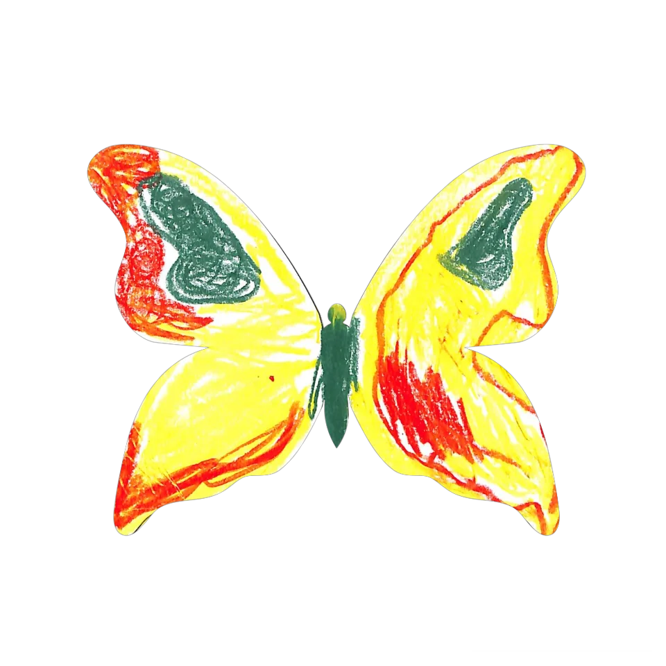Original Butterfly Image