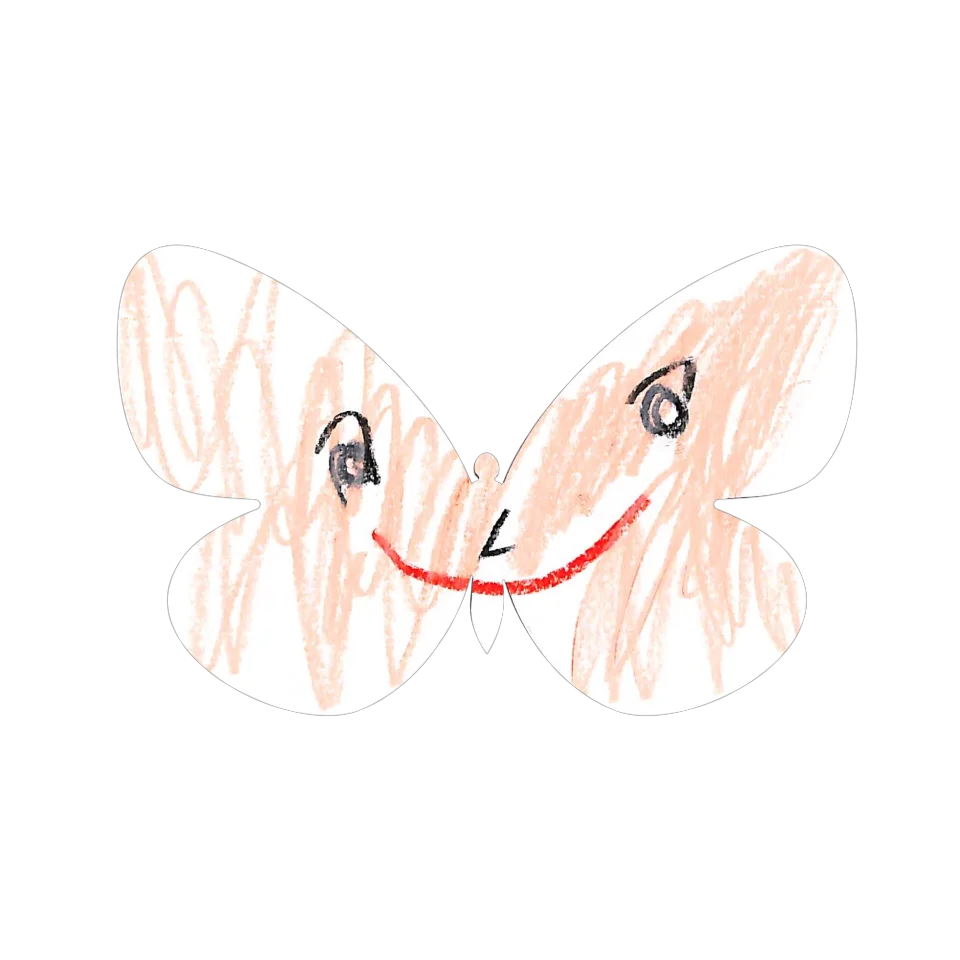 Original Butterfly Image