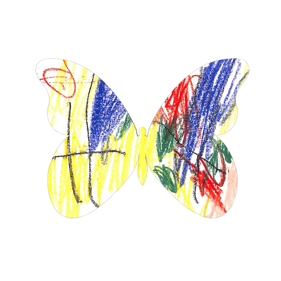 Original Butterfly Image