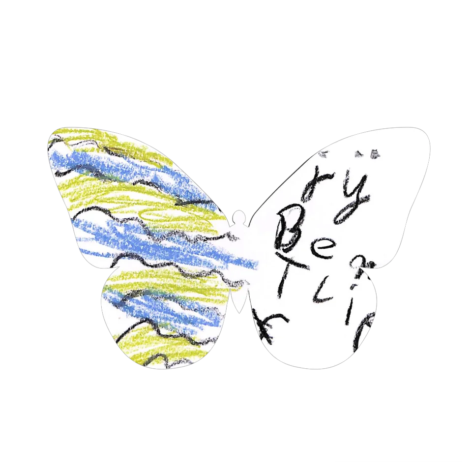 Original Butterfly Image