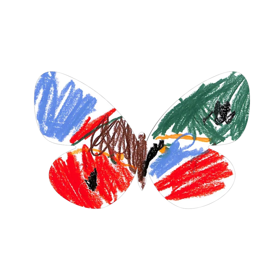 Original Butterfly Image