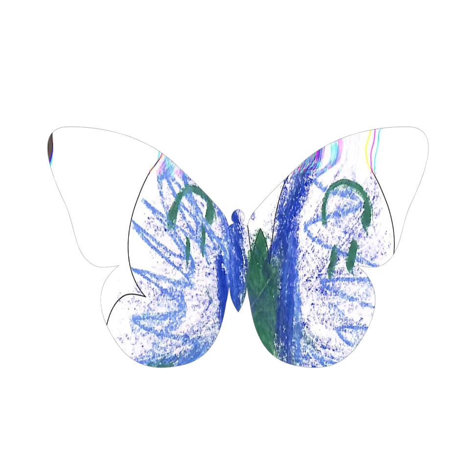 Original Butterfly Image