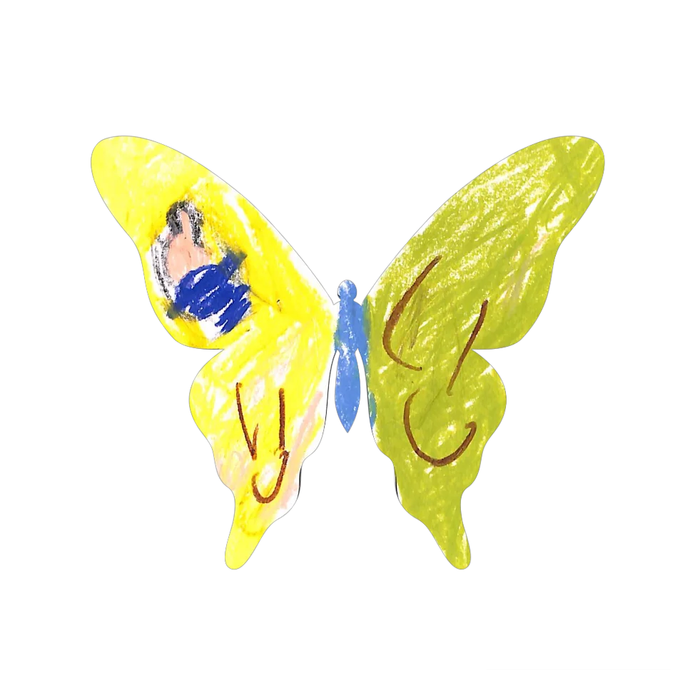 Original Butterfly Image