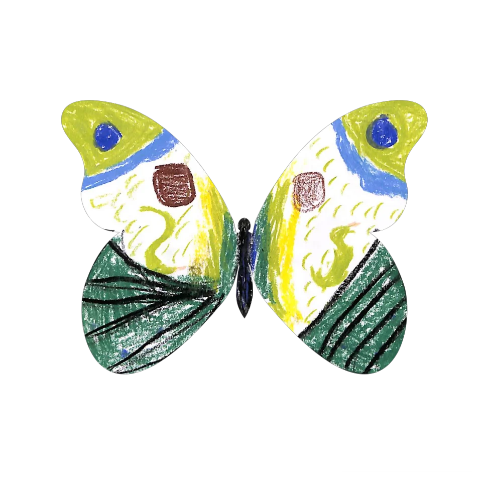 Original Butterfly Image