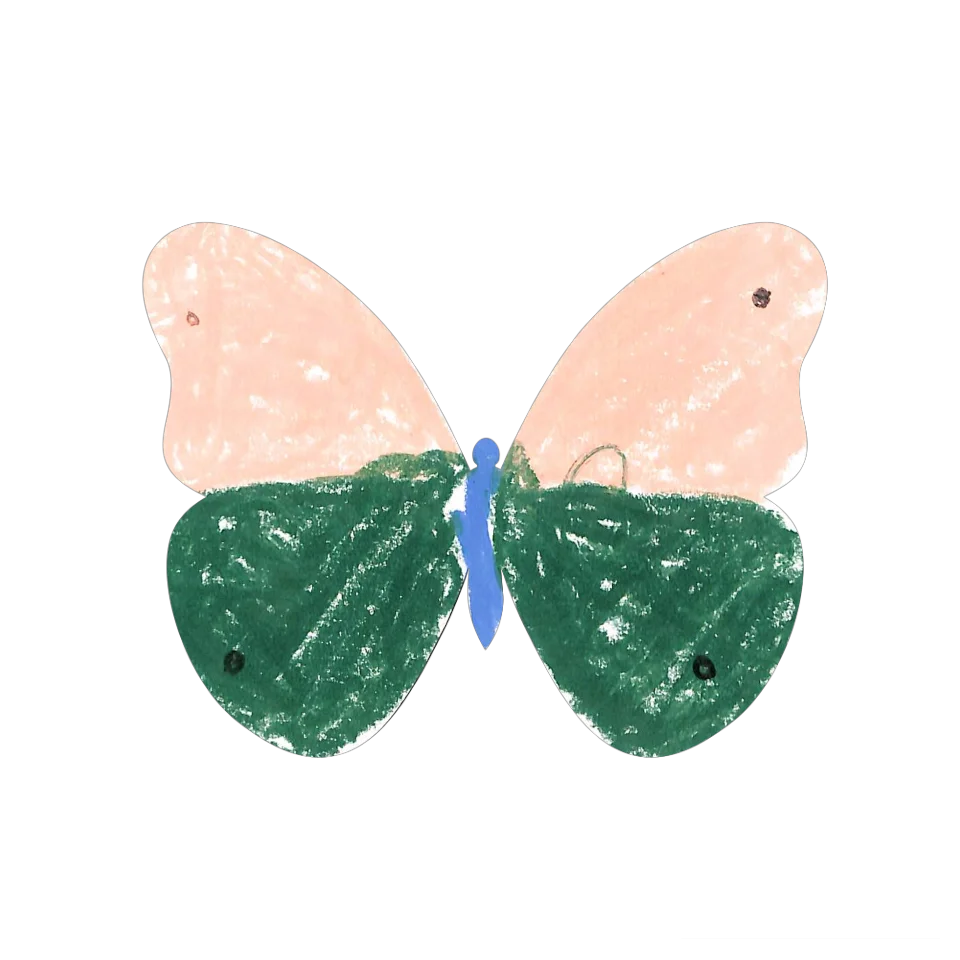 Original Butterfly Image