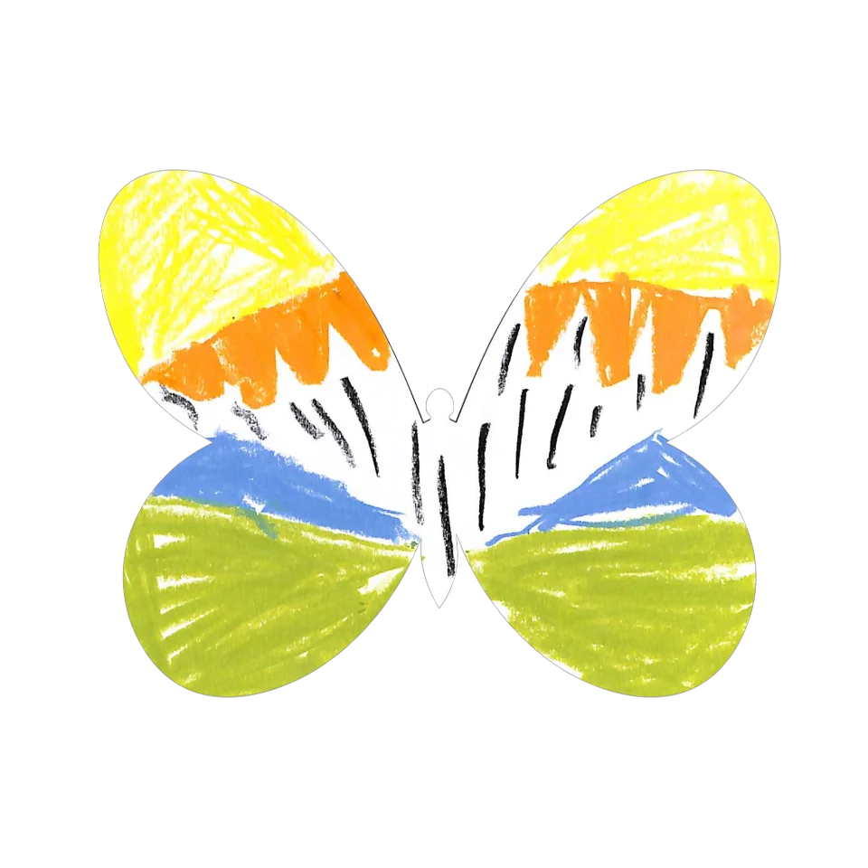 Original Butterfly Image