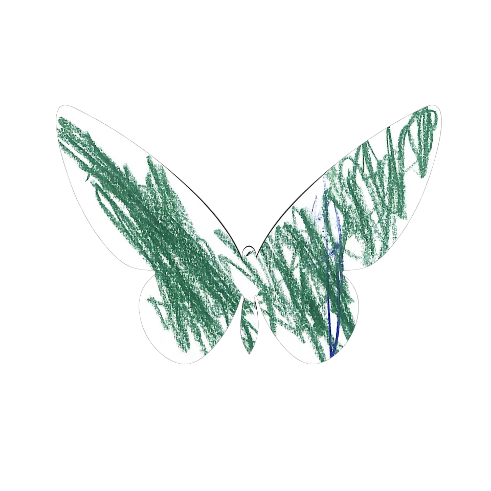 Original Butterfly Image
