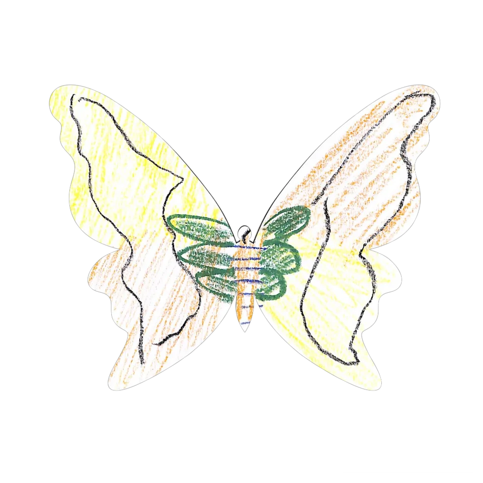 Original Butterfly Image