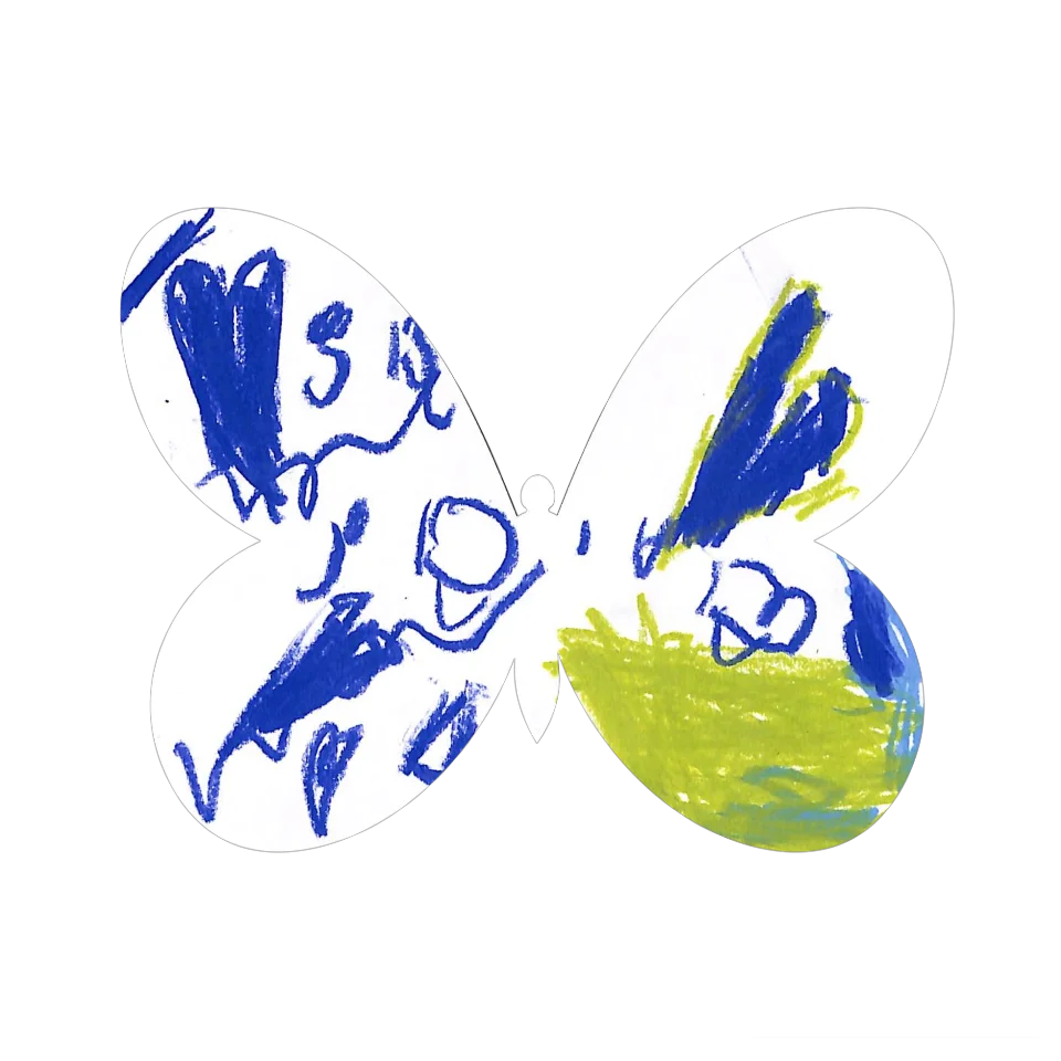Original Butterfly Image