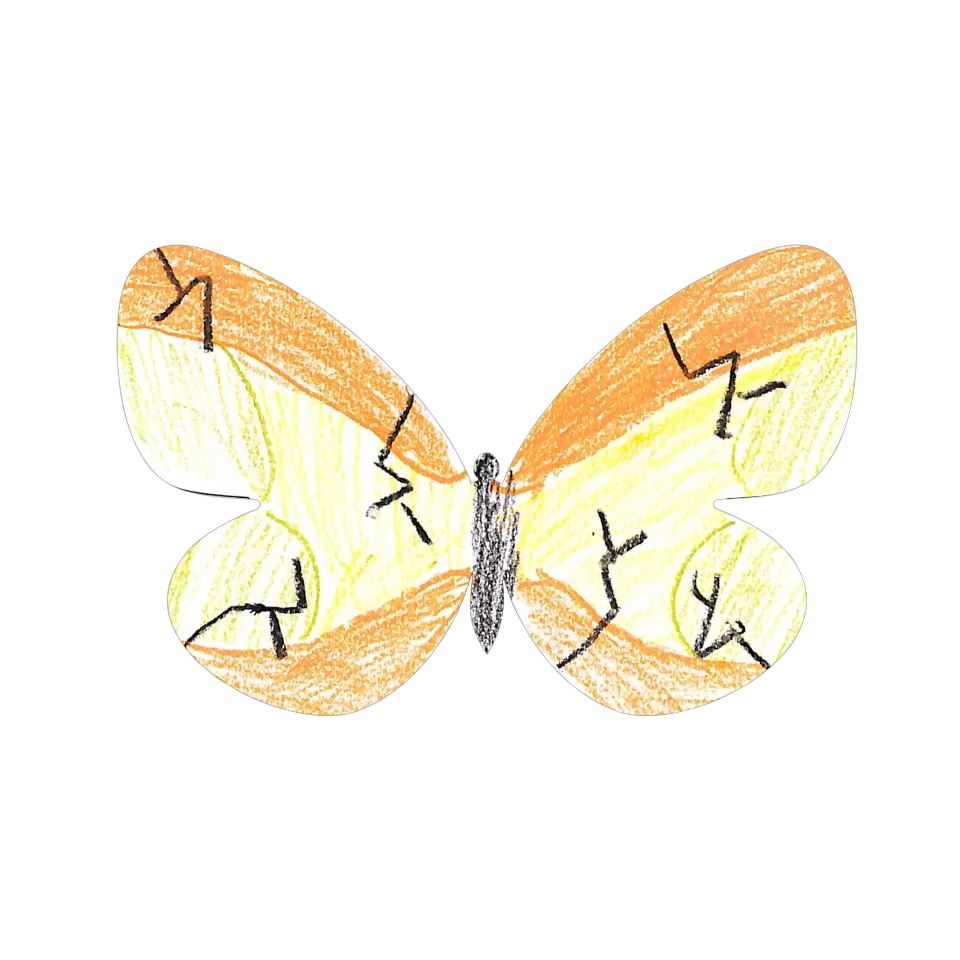 Original Butterfly Image