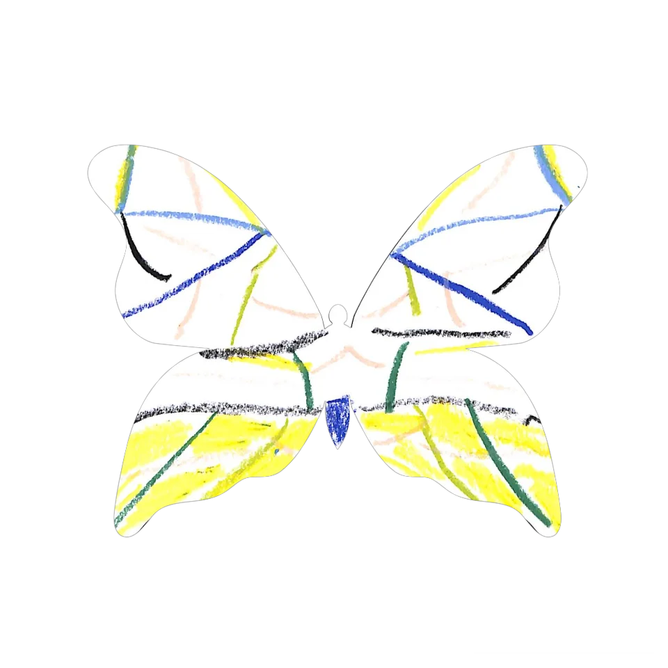 Original Butterfly Image