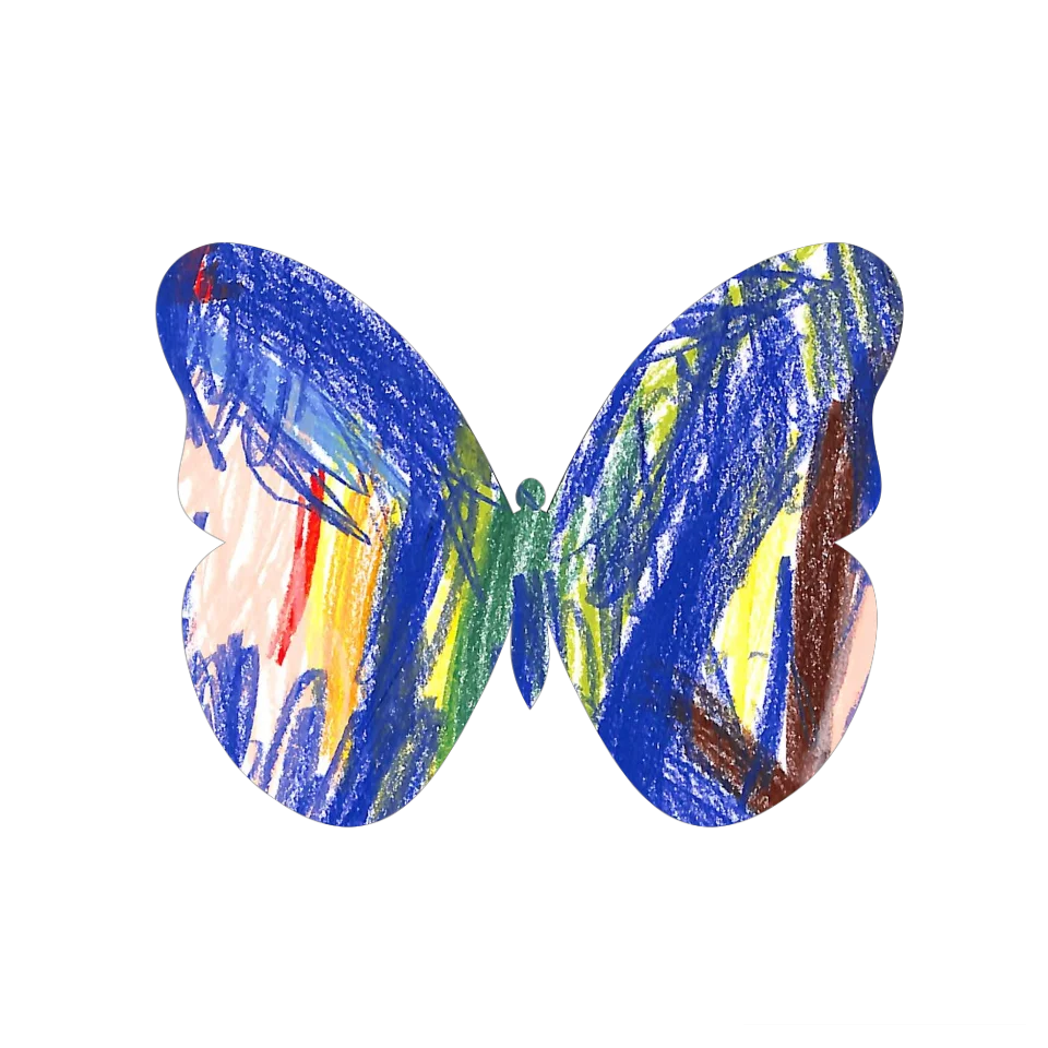 Original Butterfly Image