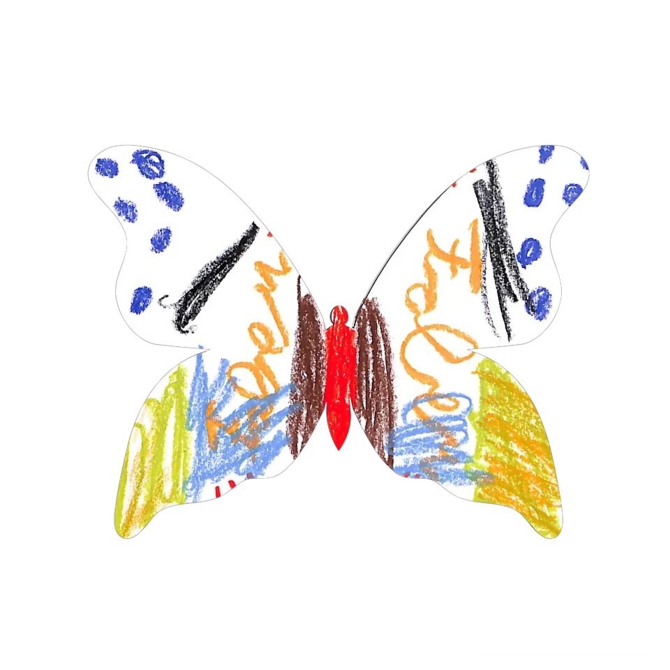 Original Butterfly Image