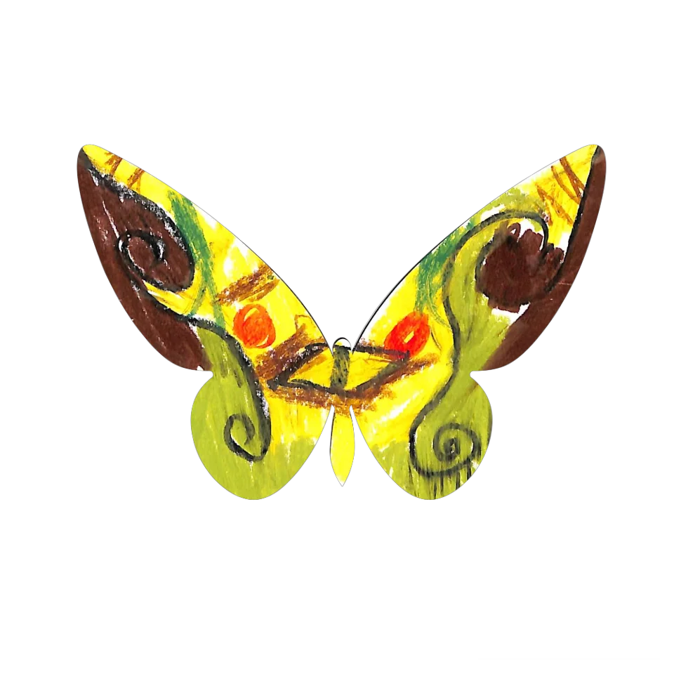 Original Butterfly Image