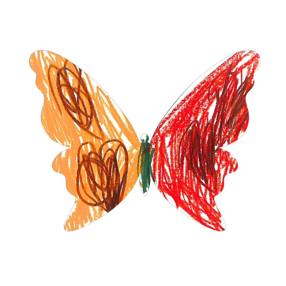 Original Butterfly Image