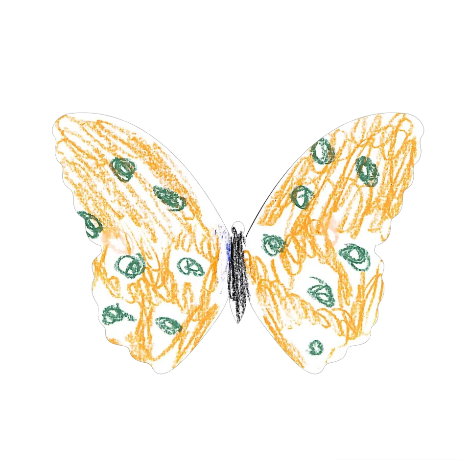Original Butterfly Image