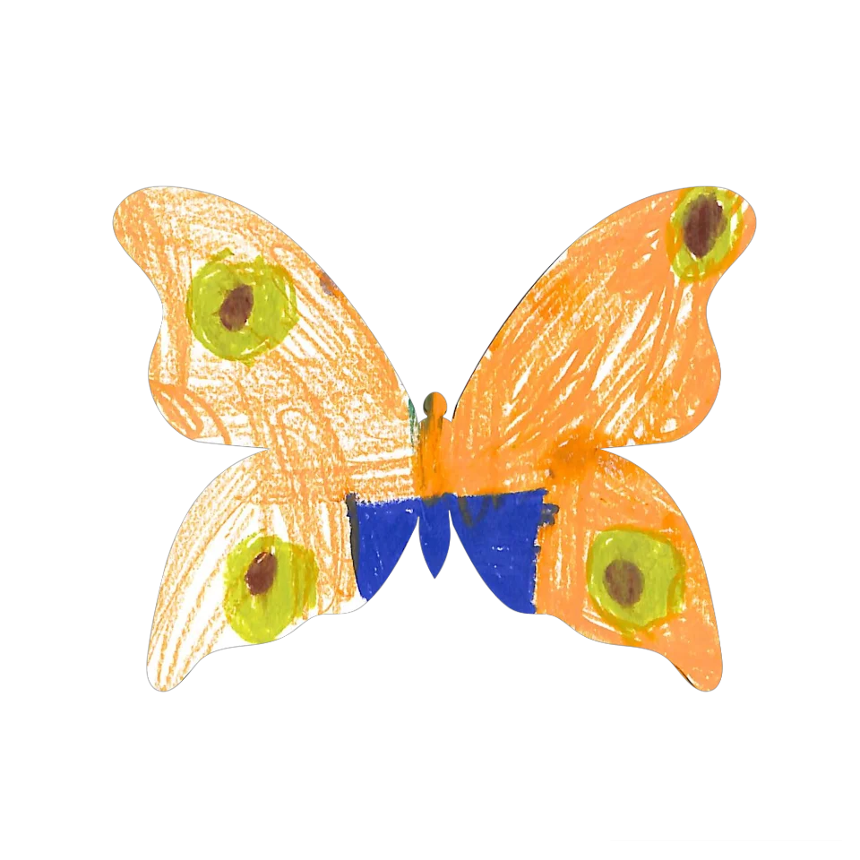 Original Butterfly Image