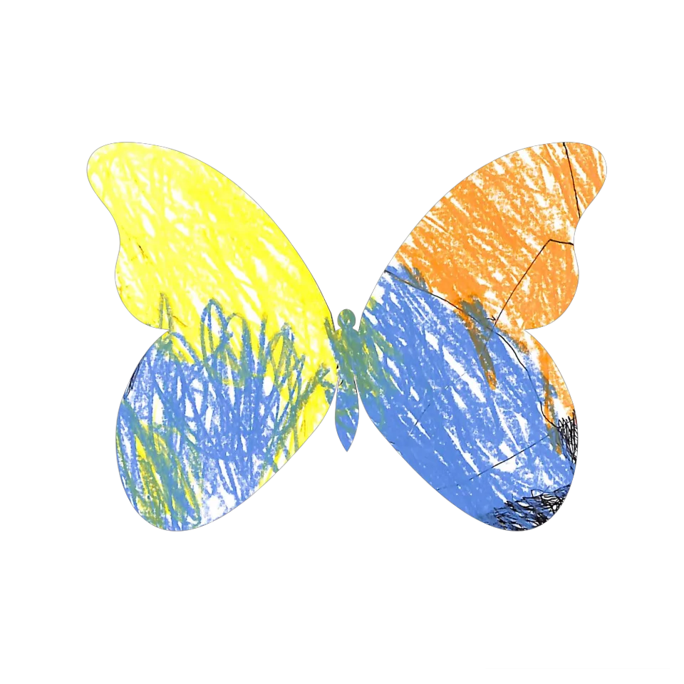 Original Butterfly Image