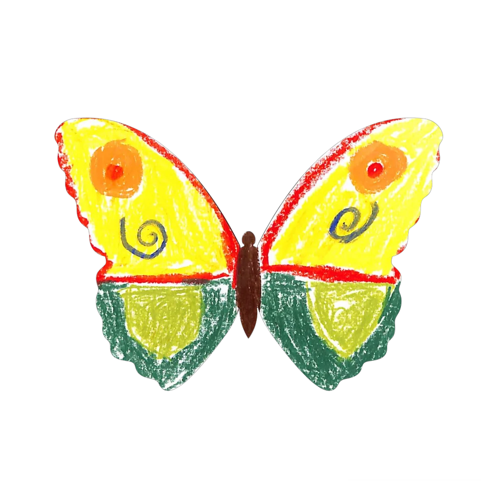 Original Butterfly Image