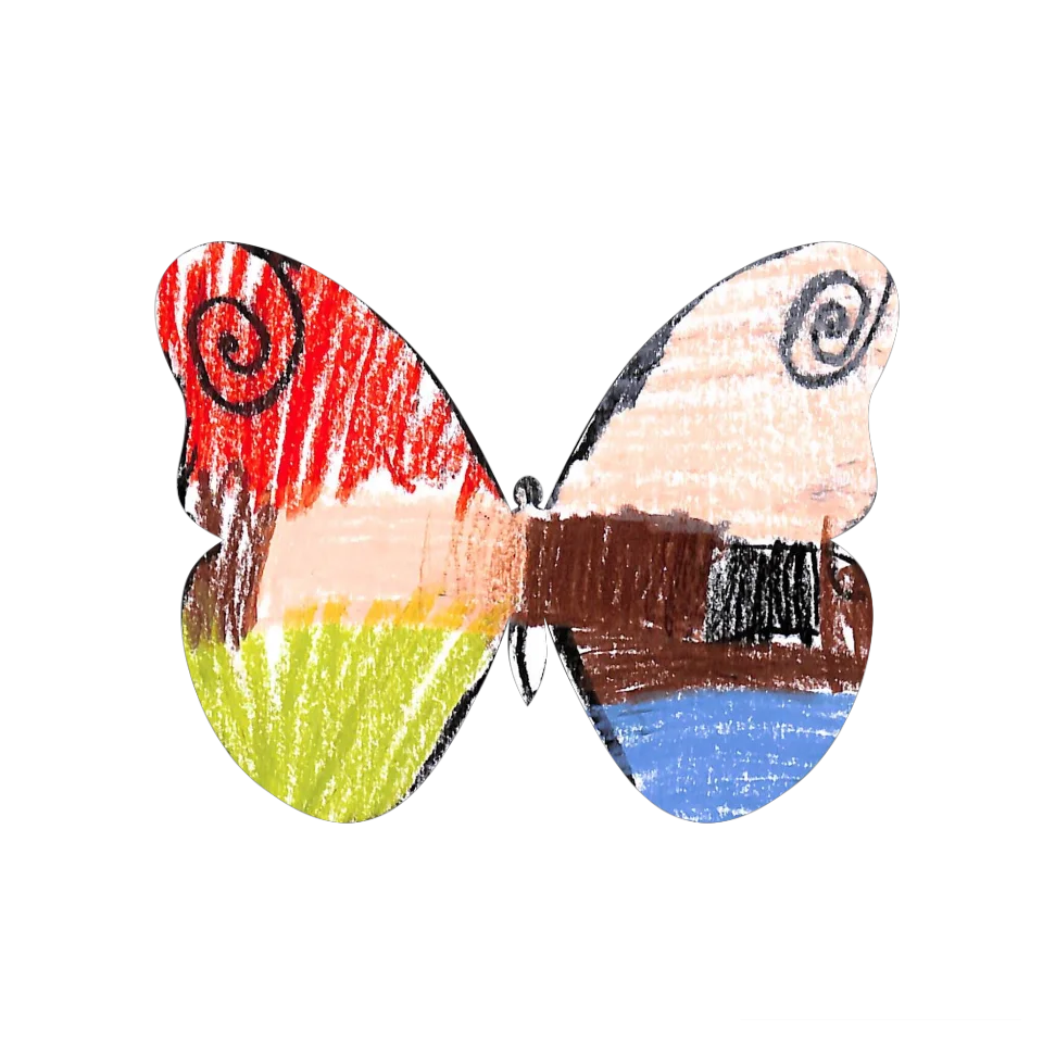 Original Butterfly Image