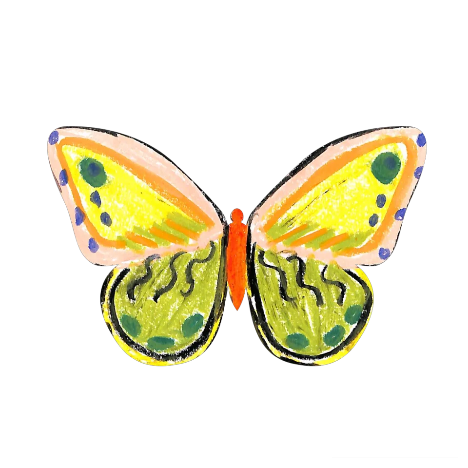 Original Butterfly Image