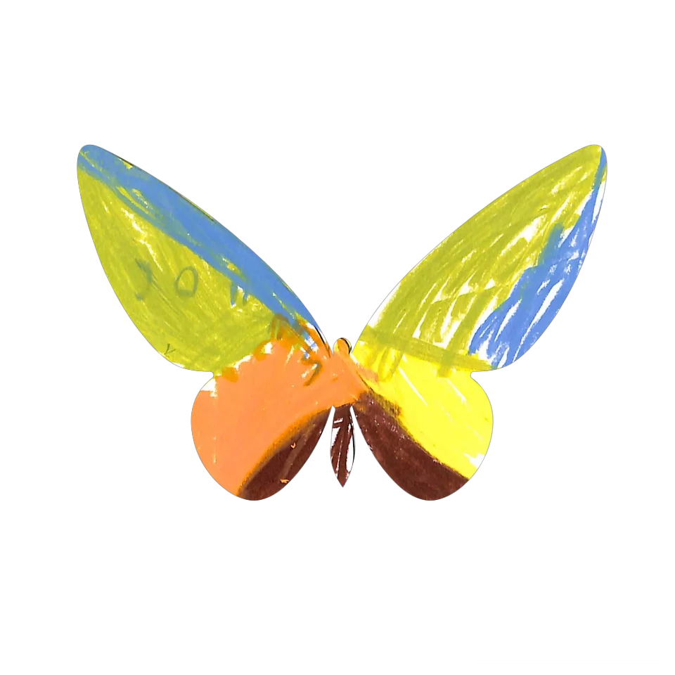 Original Butterfly Image