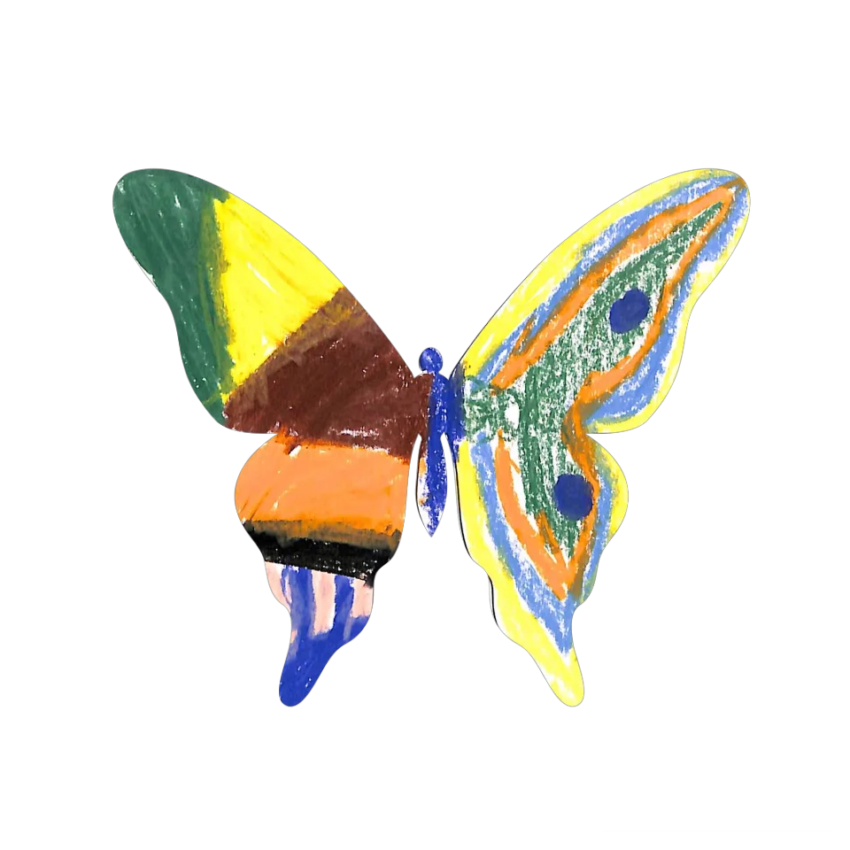 Original Butterfly Image