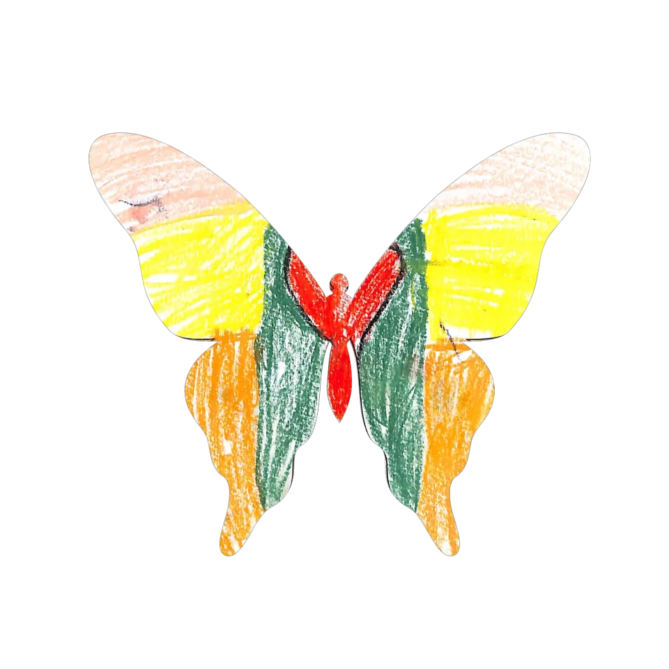 Original Butterfly Image