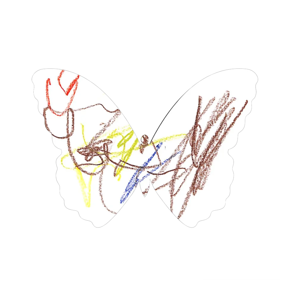 Original Butterfly Image