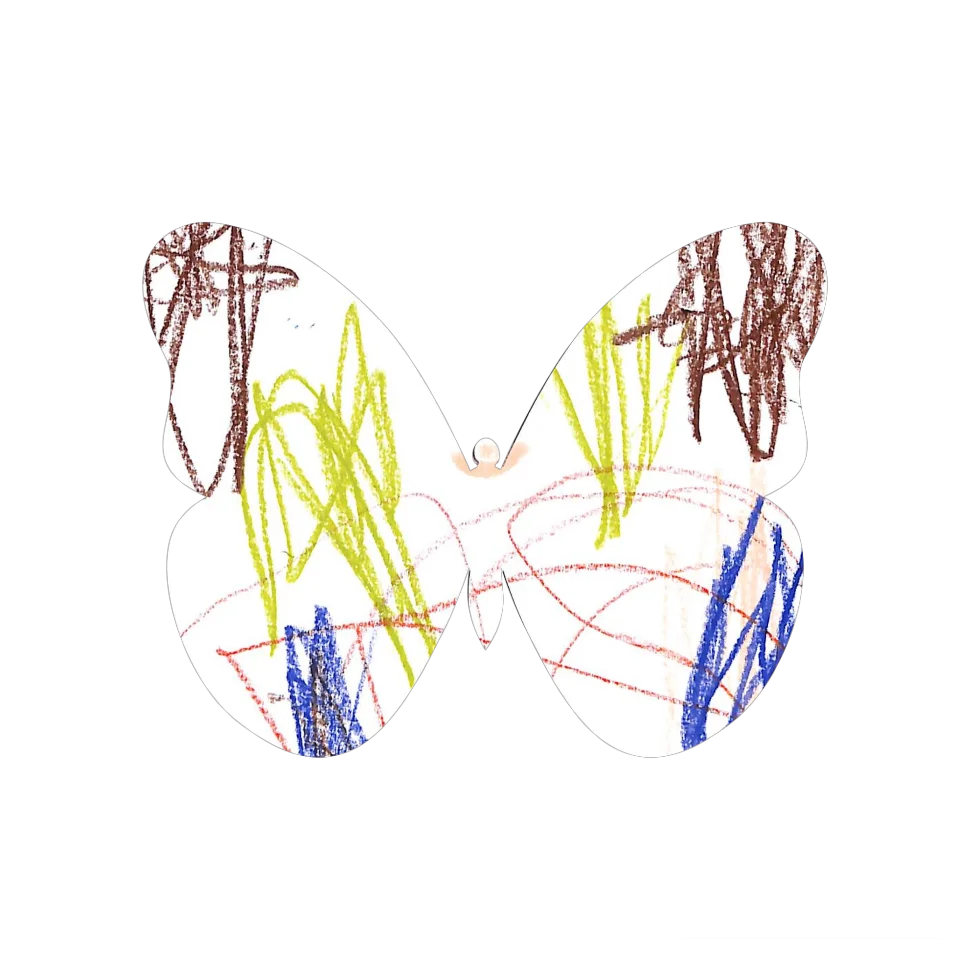 Original Butterfly Image