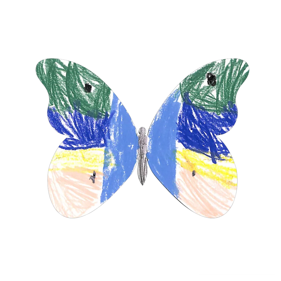 Original Butterfly Image