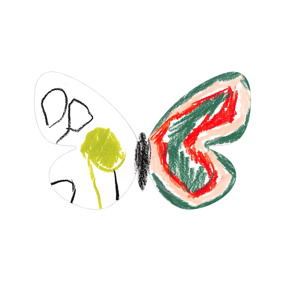 Original Butterfly Image