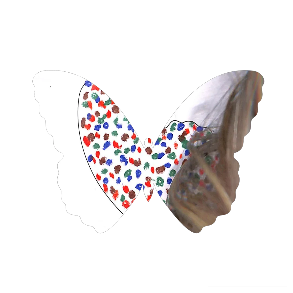 Original Butterfly Image
