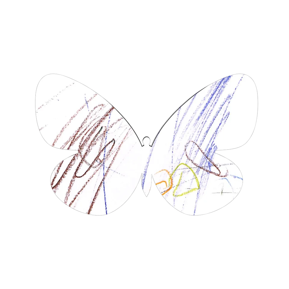 Original Butterfly Image