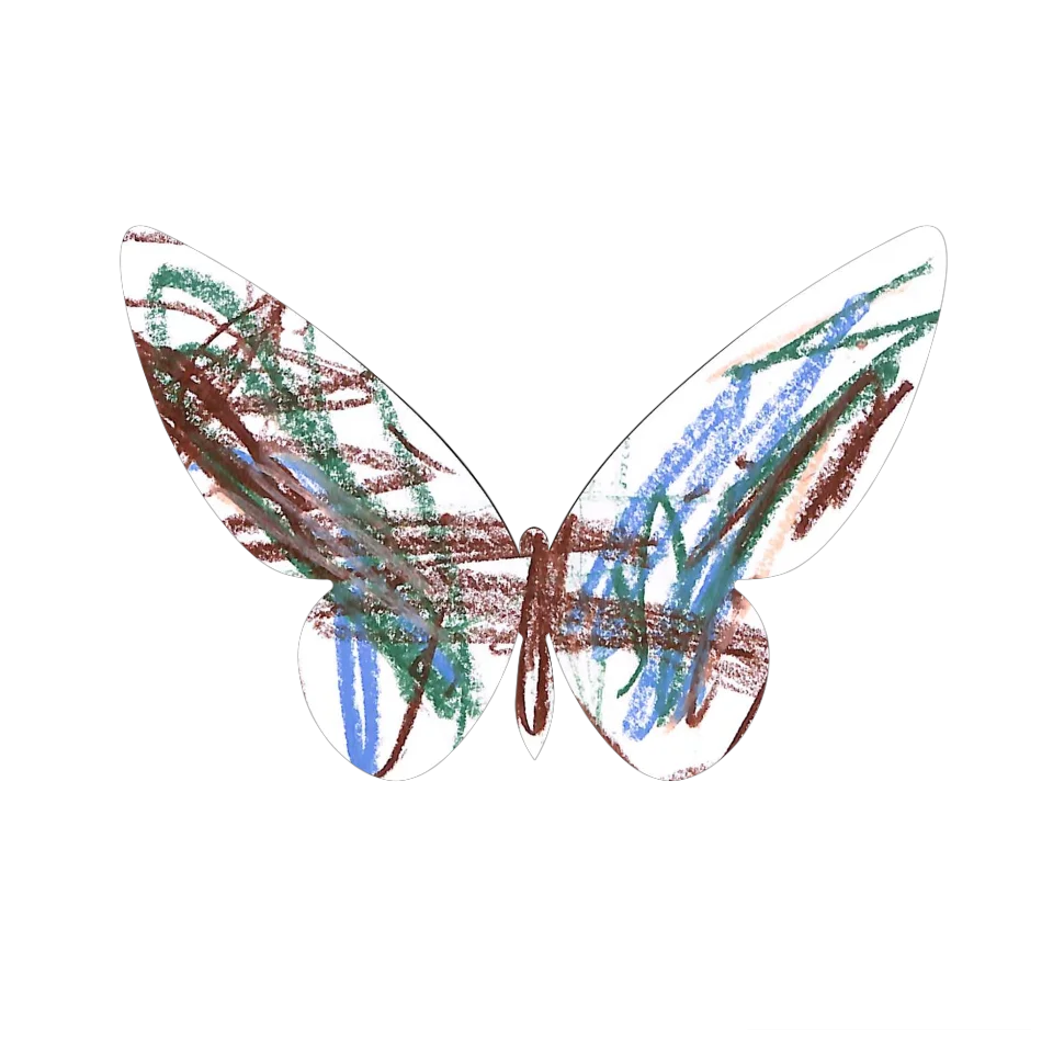 Original Butterfly Image