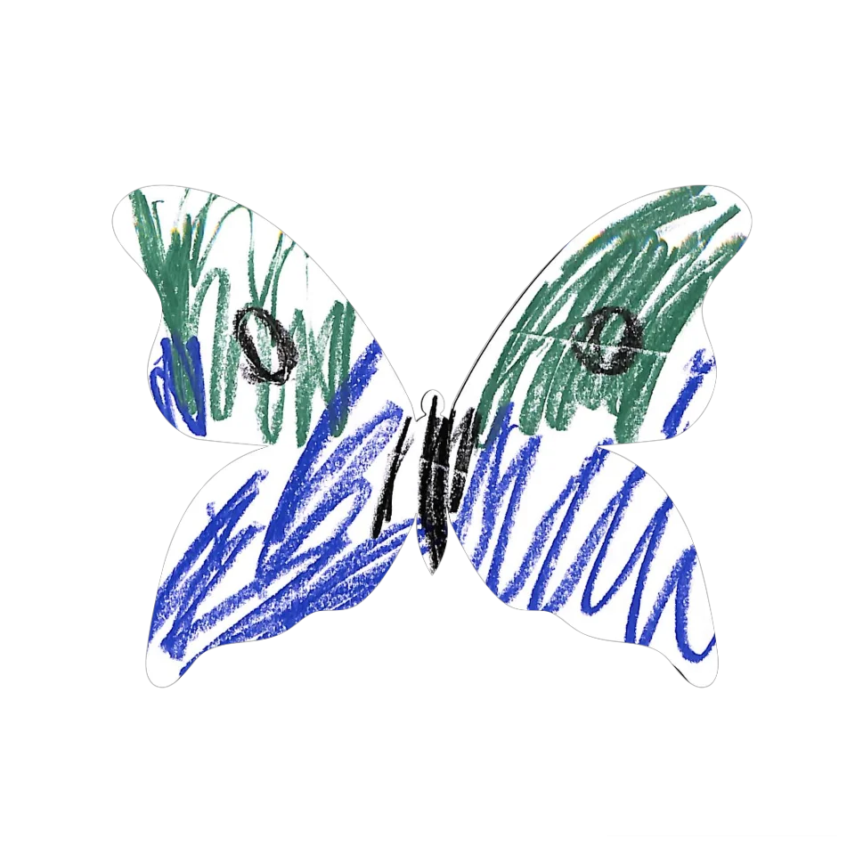 Original Butterfly Image