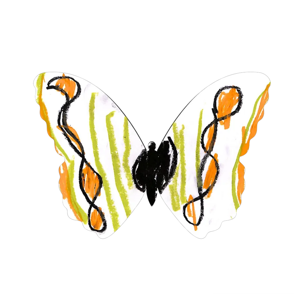 Original Butterfly Image