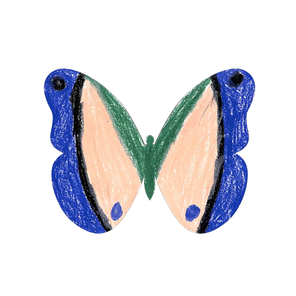 Original Butterfly Image