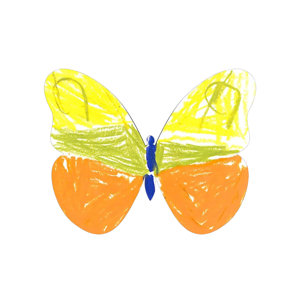 Original Butterfly Image